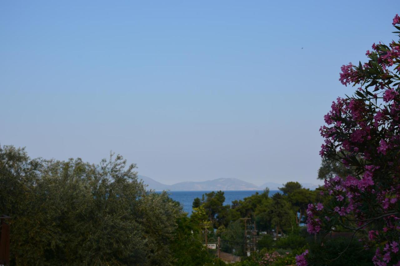 Aristotelis Epidaurus Bagian luar foto